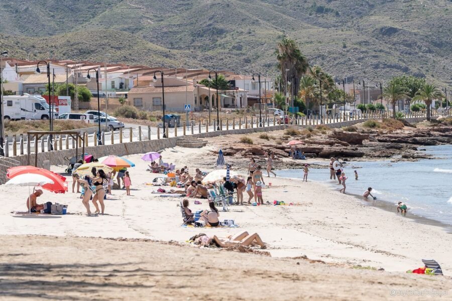 El Ayuntamiento completa el contrato de parques y jardines en todo el municipio con el inicio de las actuaciones en el litoral oeste el próximo martes