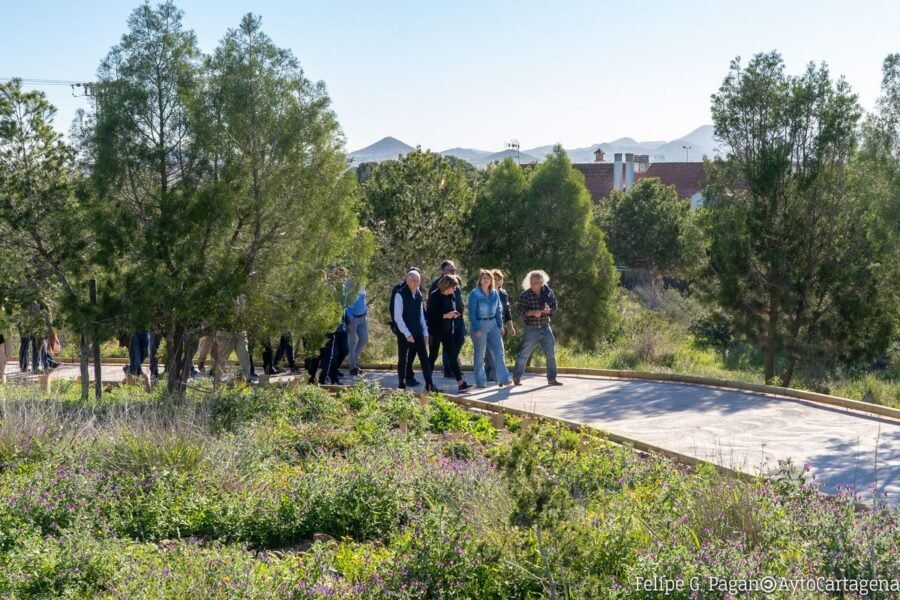 Comienzan las obras para recuperar las canteras romanas de la Finca Medina dentro del proyecto Bosque Romano Comienzan las obras para recuperar las canteras romanas de la Finca Medina dentro del proyecto Bosque Romano