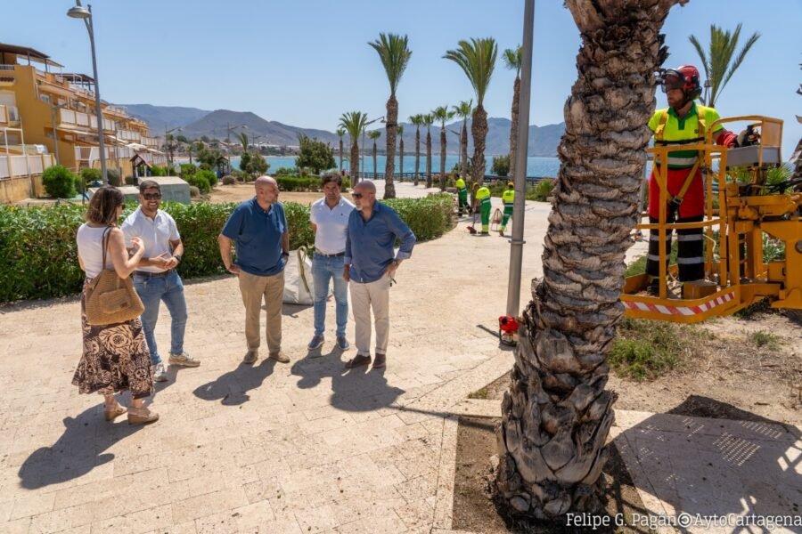 La nueva empresa de jardinería ya trabaja en más de diez hectáreas del litoral oeste de Cartagena