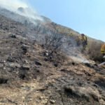 Los servicios de emergencias continúan trabajando en la zona afectada por el incendio forestal del Cedacero Los servicios de emergencias continúan trabajando en la zona afectada por el incendio forestal del Cedacero