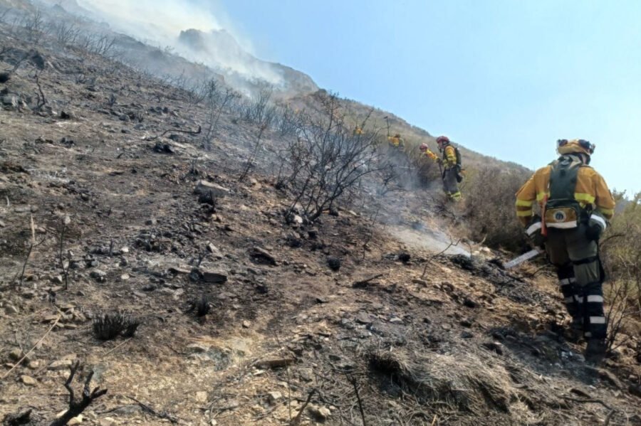 Los servicios de emergencias continúan trabajando en la zona afectada por el incendio forestal del Cedacero Los servicios de emergencias continúan trabajando en la zona afectada por el incendio forestal del Cedacero