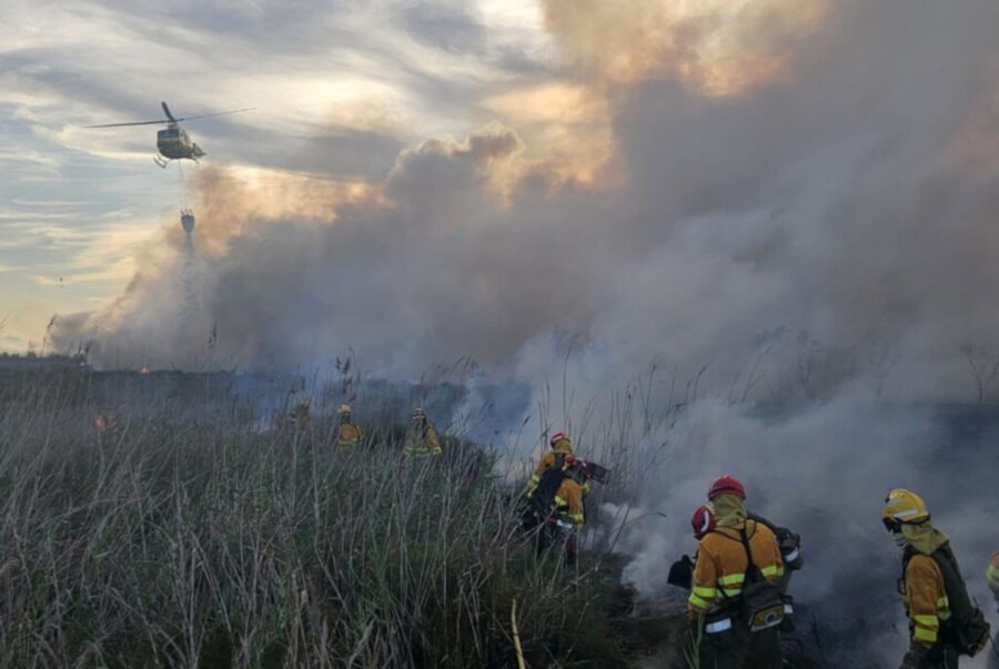 Bomberos, Protección Civil y Policía Local de Cartagena participan en las tareas de extinción del incendio forestal declarado en Torre del Rame Bomberos, Protección Civil y Policía Local de Cartagena participan en las tareas de extinción del incendio forestal declarado en Torre del Rame