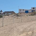 Casco Antiguo adjudica la descontaminación del solar de Los Mateos por un 20% menos de su presupuesto Casco Antiguo adjudica la descontaminación del solar de Los Mateos por un 20% menos de su presupuesto