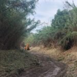 El Ayuntamiento acondiciona espacios y revisa cauces ante el aviso naranja por lluvias en Cartagena