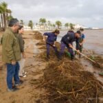 La retirada de arrastres y la limpieza de barro en zonas afectadas por el temporal centran los trabajos en el litoral sur del Mar Menor La retirada de arrastres y la limpieza de barro en zonas afectadas por el temporal centran los trabajos en el litoral sur del Mar Menor