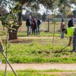 La Junta Municipal de Los Dolores aprueba mociones sobre la Vía Verde, el IES San Isidoro y una pista deportiva en el polígono de Santa Ana