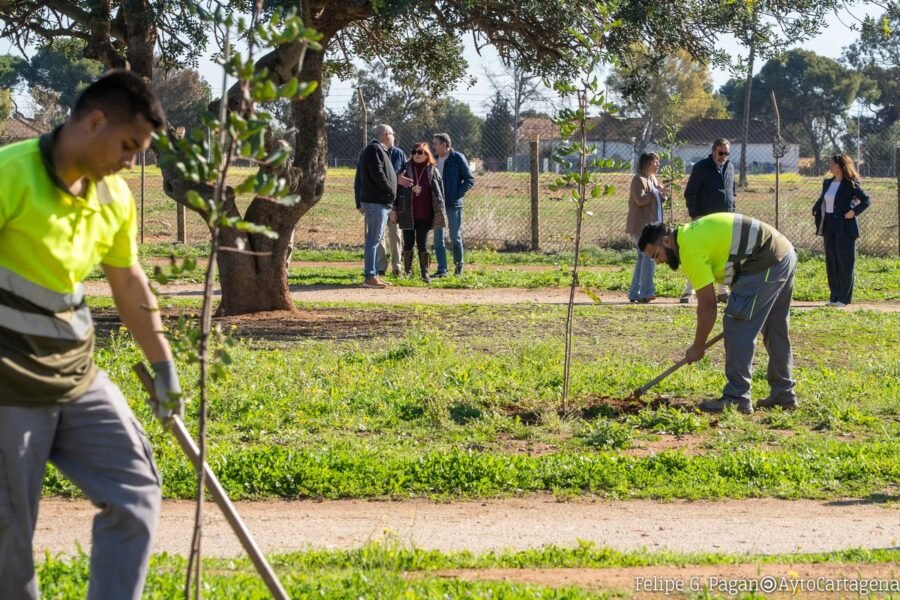 La Junta Municipal de Los Dolores aprueba mociones sobre la Vía Verde, el IES San Isidoro y una pista deportiva en el polígono de Santa Ana