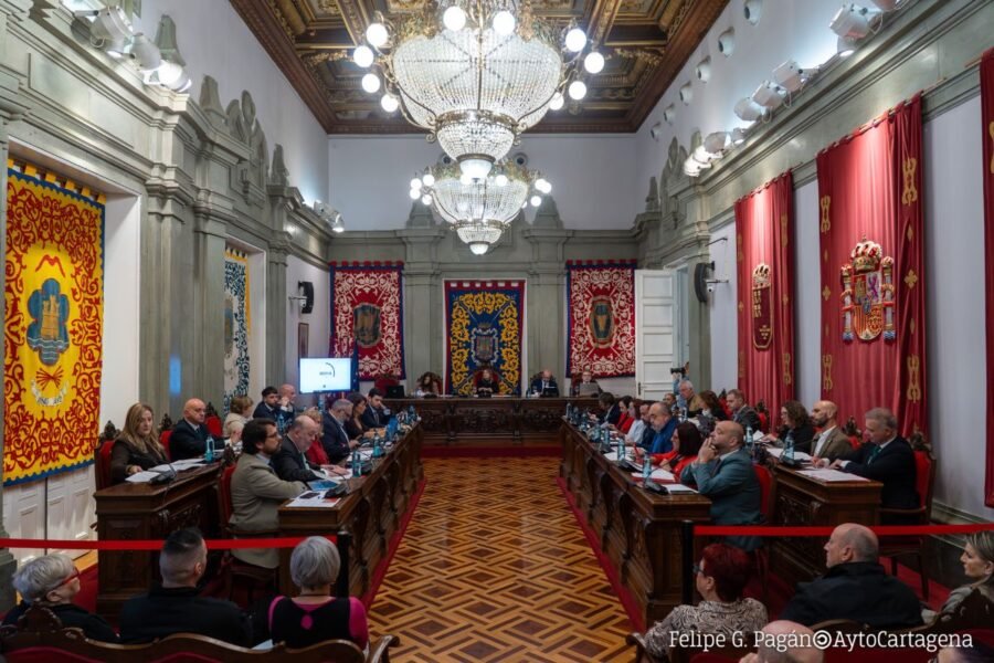 El pleno aprueba mociones sobre el hospital Santa Lucía, taxis al aeropuerto, la unión de paseos en el Mar Menor y las balizas V16