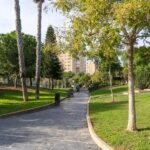 Cierre preventivo de parques y balizamiento de árboles, ante la previsión de vientos de hasta 70 kilómetros el sábado 31 de enero