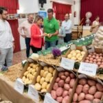 La Fiesta de la Patata de La Puebla, premio nacional a la mejor campaña de promoción