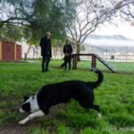 Cartagena cuenta con nuevo parque canino junto al Cartagonova y abrirá dos más en Santa Ana y Cabo de Palos