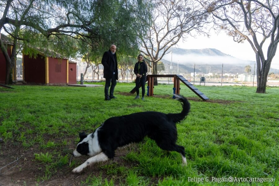 Cartagena cuenta con nuevo parque canino junto al Cartagonova y abrirá dos más en Santa Ana y Cabo de Palos