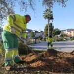 Cartagena mejora sus zonas verdes con un plan de aporte de triturado vegetal