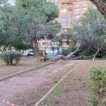 Los Bomberos de Cartagena atienden 29 intervenciones por el fuerte viento del jueves