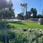 Cartagena embellece la entrada al Polígono Santa Ana con la renovación de su rotonda principal