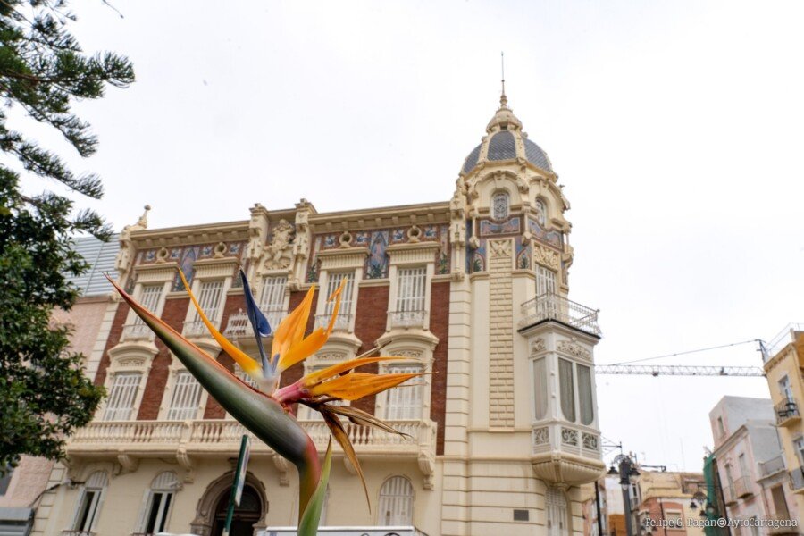 Cartagena impulsa un atlas participativo para conocer su biodiversidad urbana 2 Cartagena impulsa un atlas participativo para conocer su biodiversidad urbana