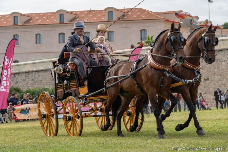 Caballos y carruajes este domingo en Cartagena con el concurso de enganches de tradición