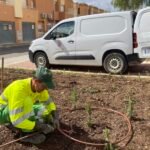 El Ayuntamiento de Cartagena mejora dos espacios verdes en Canteras con nuevas plantaciones y mejoras de riego