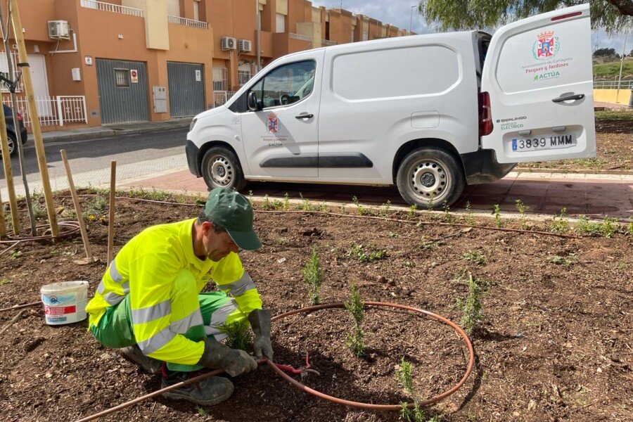 El Ayuntamiento de Cartagena mejora dos espacios verdes en Canteras con nuevas plantaciones y mejoras de riego