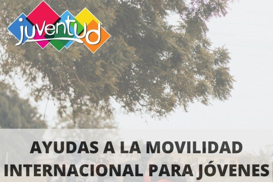 Los jóvenes cartageneros tendrán ayudas para estancias en el extranjero 2 Ayudas a la movilidad