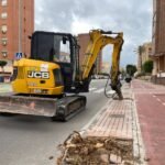 Jardines retira ficus en Ángel Bruna por seguridad para replantar nuevos árboles