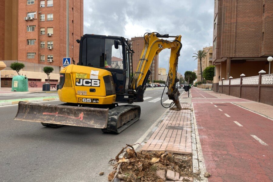 Jardines retira ficus en Ángel Bruna por seguridad para replantar nuevos árboles