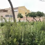 El Ayuntamiento de Cartagena impulsa un plan de choque para la reposición de arbustos