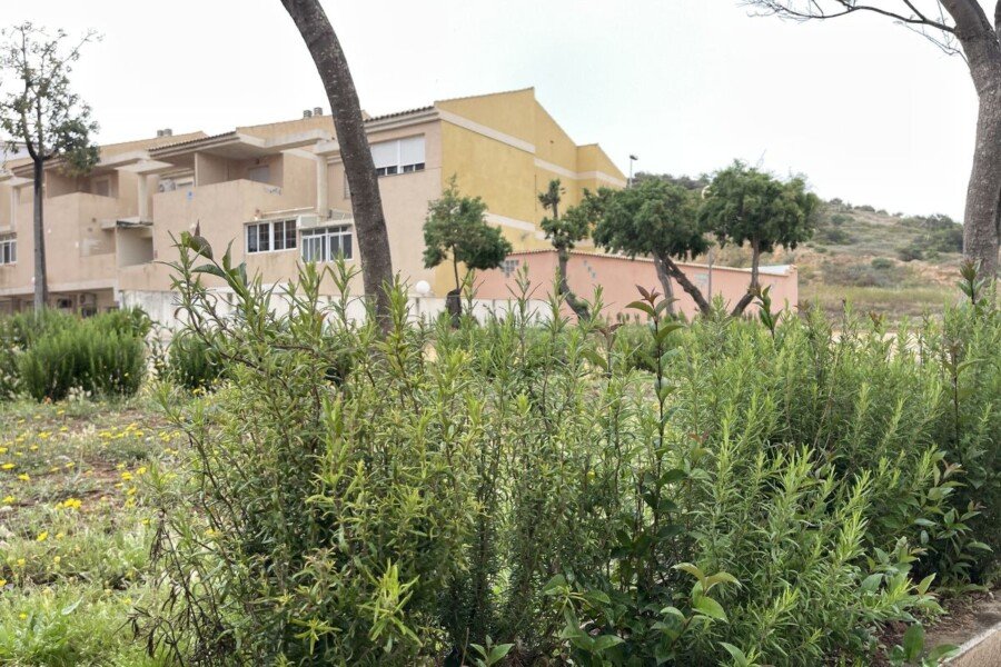 El Ayuntamiento de Cartagena impulsa un plan de choque para la reposición de arbustos