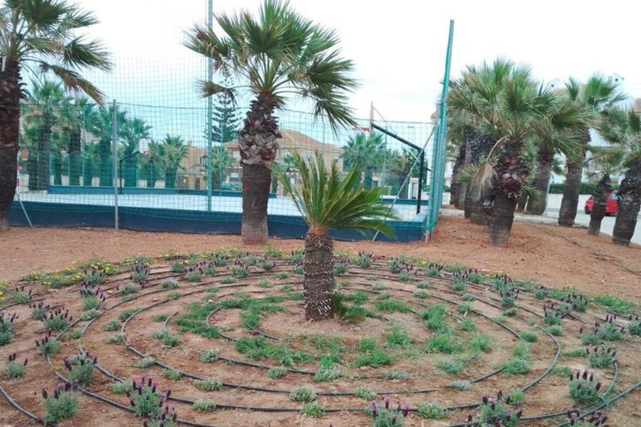 El Ayuntamiento de Cartagena transforma la Plaza Galeotas de Cabo de Palos con un rediseño paisajístico sostenible y flora autóctona