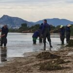 Ayuntamiento y Comunidad refuerzan la vigilancia y retirada de biomasa en el litoral tras las lluvias