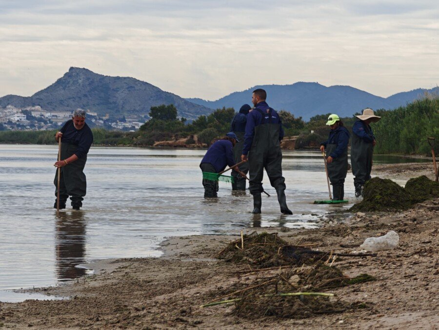 Ayuntamiento y Comunidad refuerzan la vigilancia y retirada de biomasa en el litoral tras las lluvias